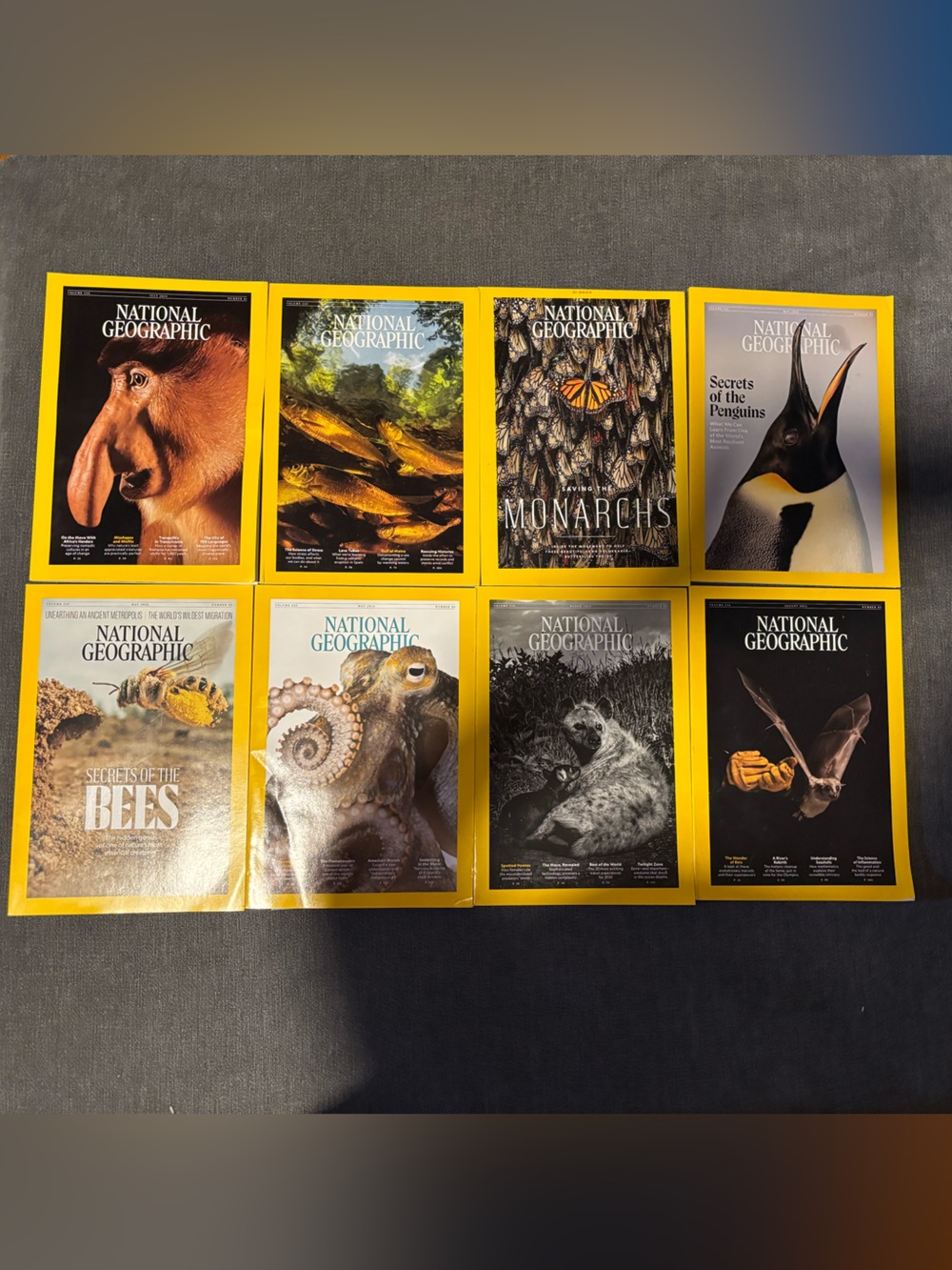 National Geographic Magazine Lot - 8 issues with animal themes